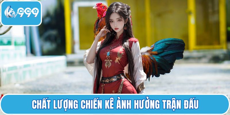 Chất lượng chiến kê ảnh hưởng trận đấu