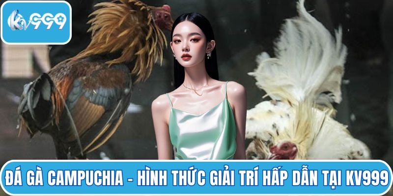 Đá gà Campuchia