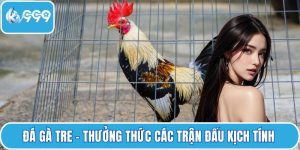 Đá gà tre