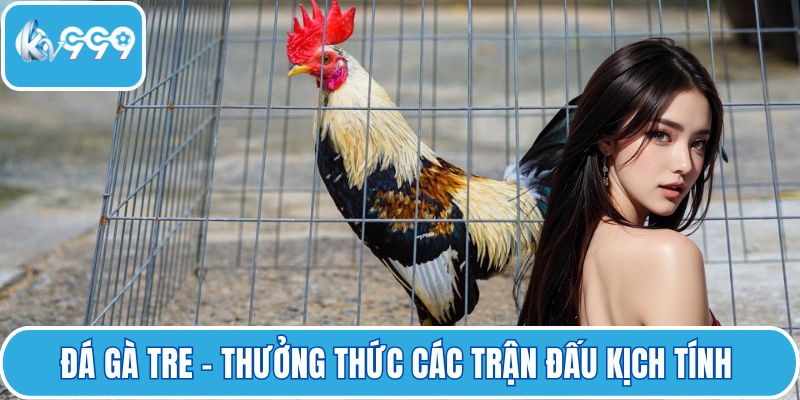 Đá gà tre