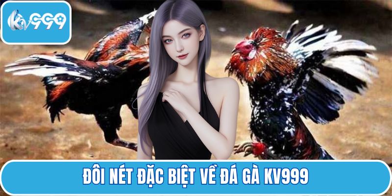 Đôi nét đặc biệt về đá gà KV999
