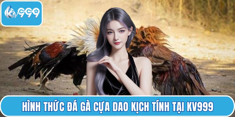 Hình thức đá gà cựa dao kịch tính tại KV999