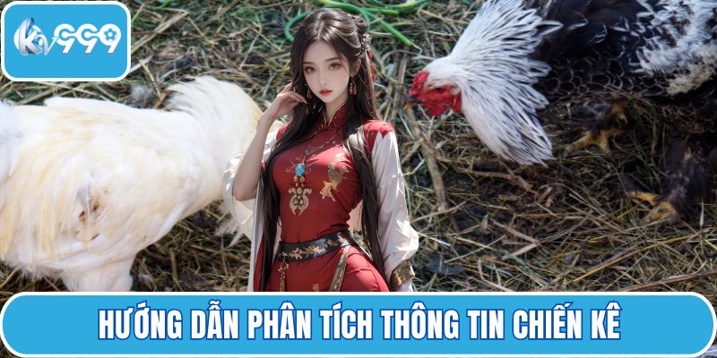 Hướng dẫn phân tích thông tin chiến kê