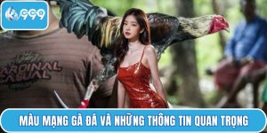 Màu mạng gà đá