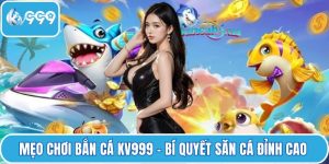 Mẹo chơi bắn cá