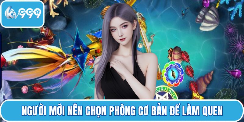 Người mới nên chọn phòng cơ bản để làm quen