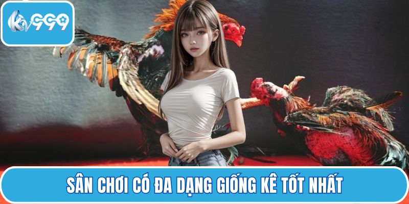 Sân chơi có đa dạng giống kê tốt nhất