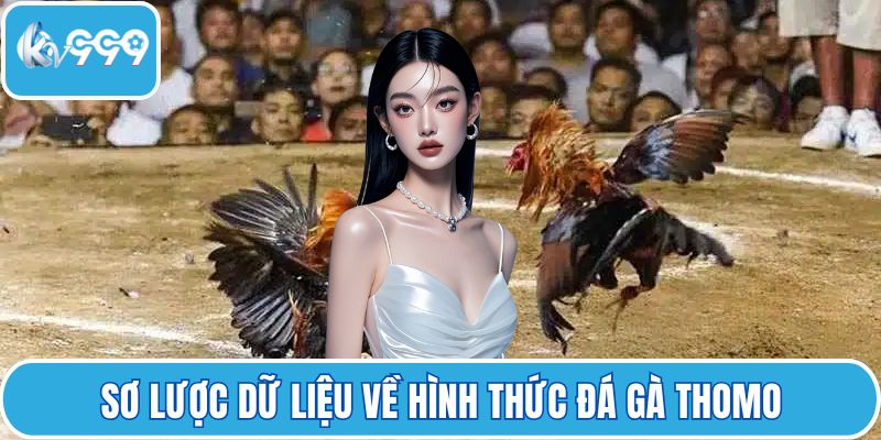 Sơ lược dữ liệu về hình thức đá gà Thomo