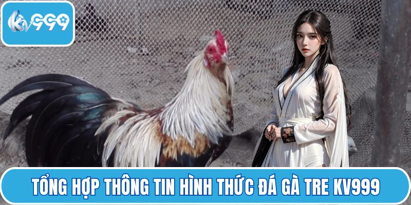 Tổng hợp thông tin hình thức đá gà tre KV999